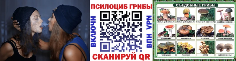 Псилоцибиновые грибы мухоморы  mega зеркало  Козельск  наркошоп 